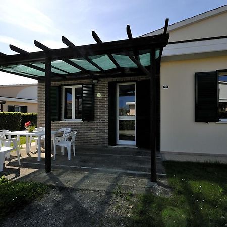 La Cecinella Apartments Marina di Cecina Eksteriør billede