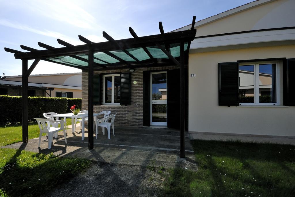 La Cecinella Apartments Marina di Cecina Eksteriør billede